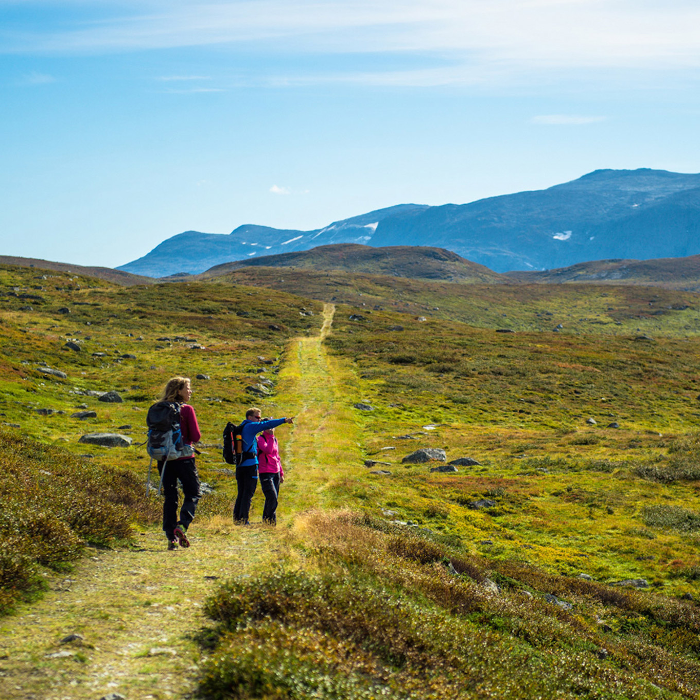 Sommerhotellet Kongevegen Folk Pa Tur Vang I Valdres Utsikt