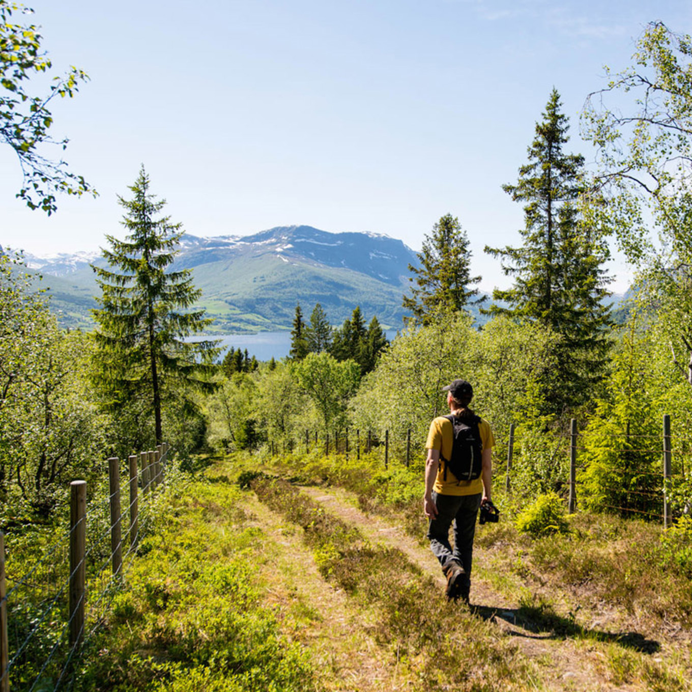 Sommerhotellet Kongevegen Kvamskleiva Historiske Vandreturer Vang I Valdres